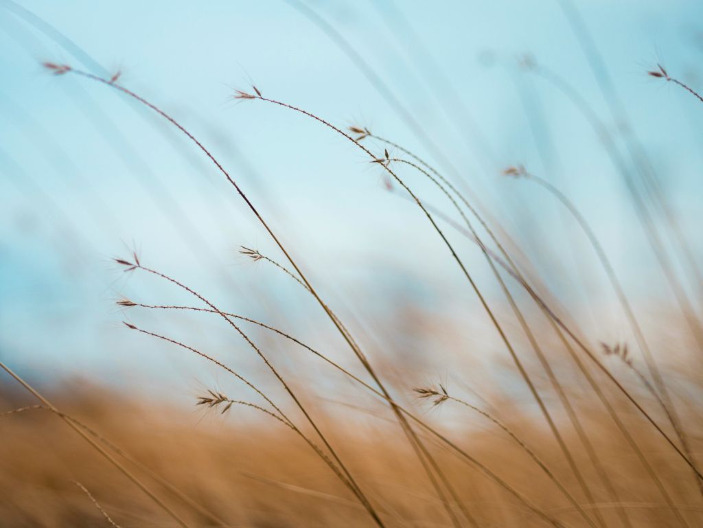 aaron-burden-tQF8FCNYNrk-unsplash - Suzanne Kane make your mind strong