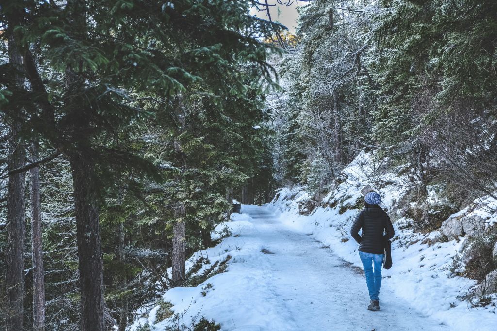 dan-burton-rf2nIa5xDXc-unsplash - Suzanne Kane smart and quick decisions