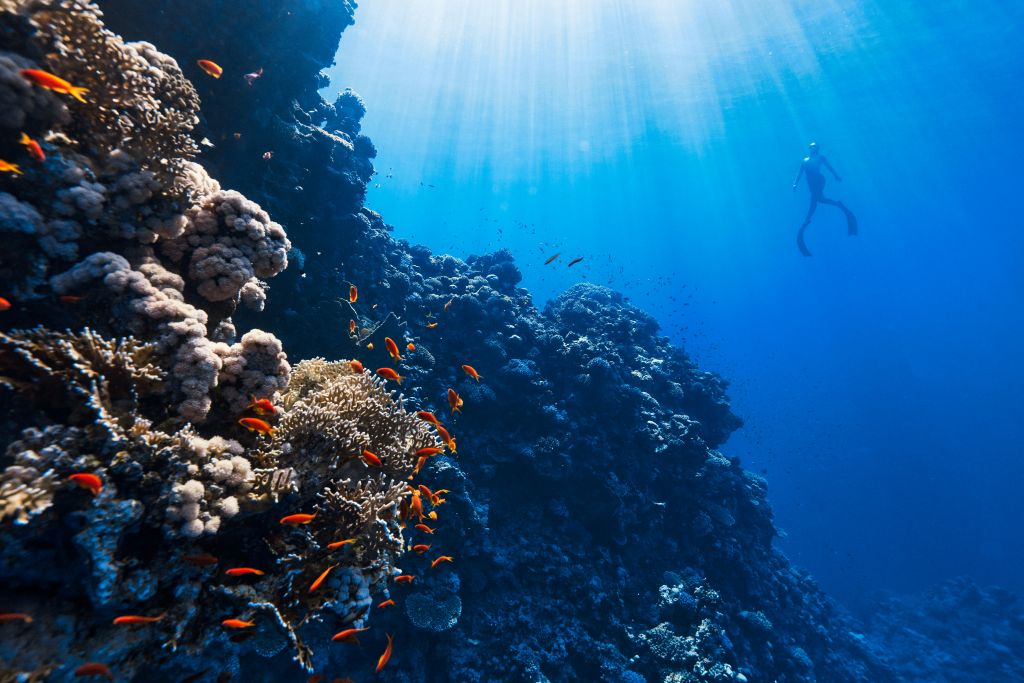 neom-I5j46lqAo-o-unsplash - Suzanne Kane best life experiences