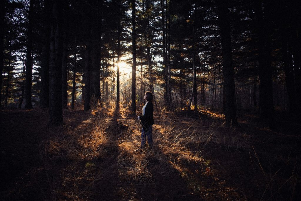 riccardo-mion-geOr7LsCRaI-unsplash - Suzanne Kane smart and quick decisions