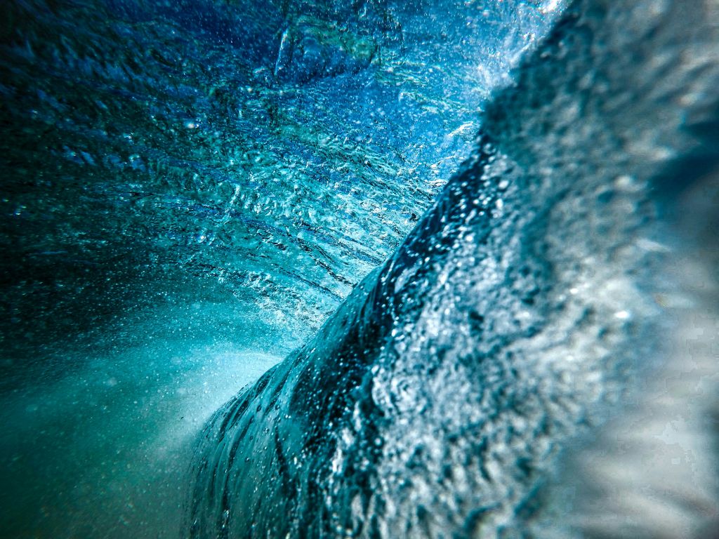 jeremy-bishop-xaZSE0h7yIY-unsplash - Suzanne Kane nurture your ideas