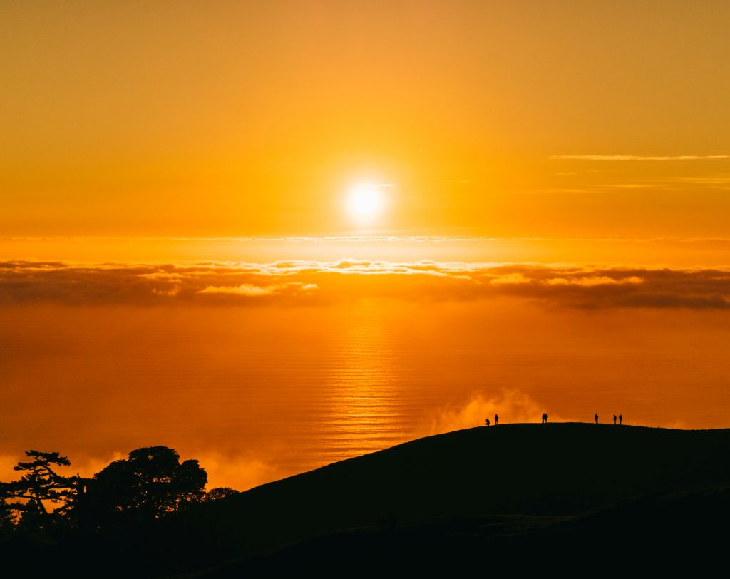 john-towner-CakC6u4d95g-unsplash - Suzanne Kane hope and promise