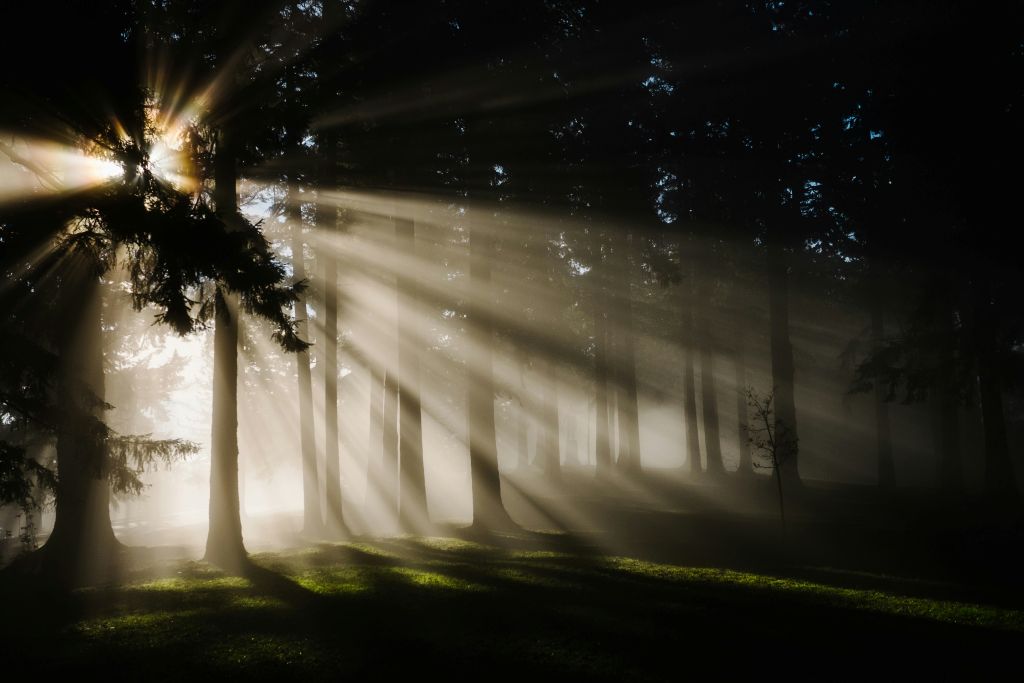 kristine-weilert-tLNRTxieD7k-unsplash - Suzanne Kane hope and promise