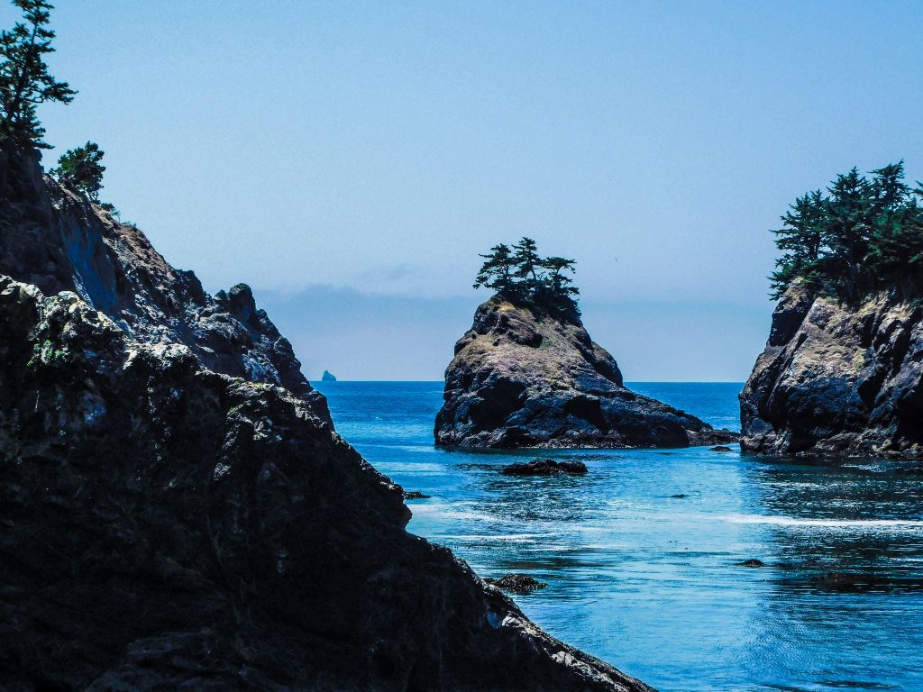 peter-robbins-o0-9IYPrWZk-unsplash - Suzanne Kane nurture your ideas