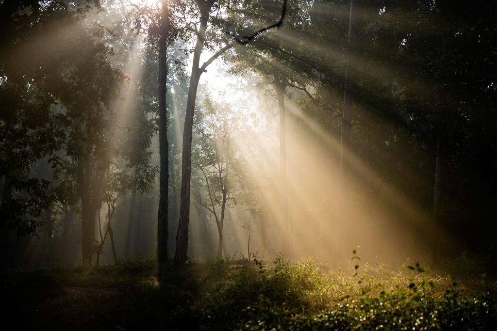 syed-ali-ih4lznXcw9M-unsplash - Suzanne Kane hope and promise