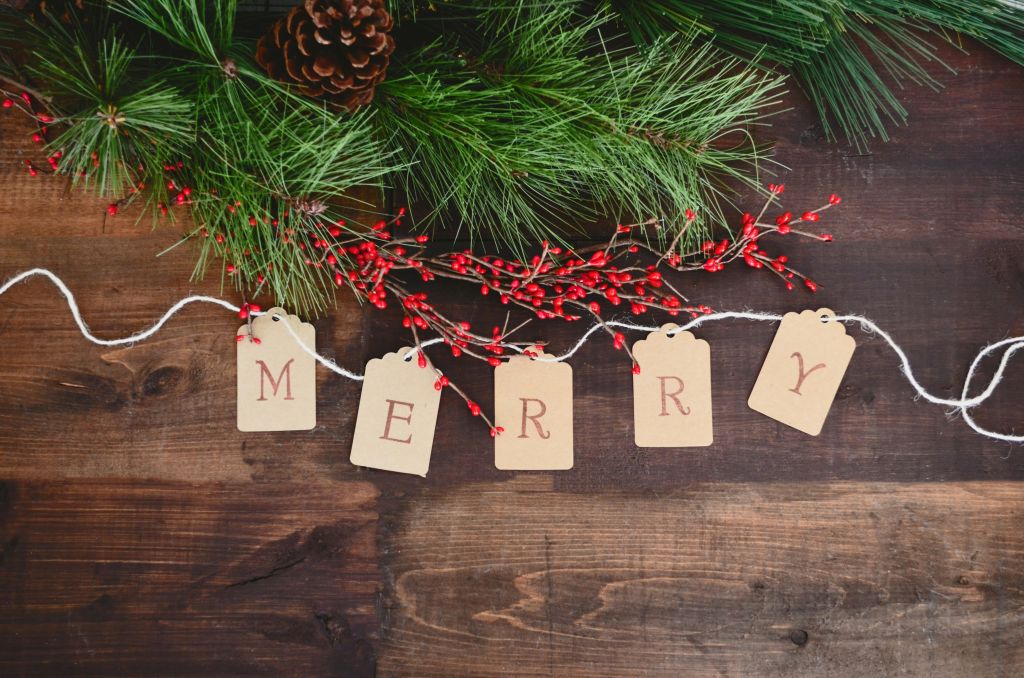 debby-hudson-QdQEtkscDi8-unsplash - Suzanne Kane the joy of Christmas