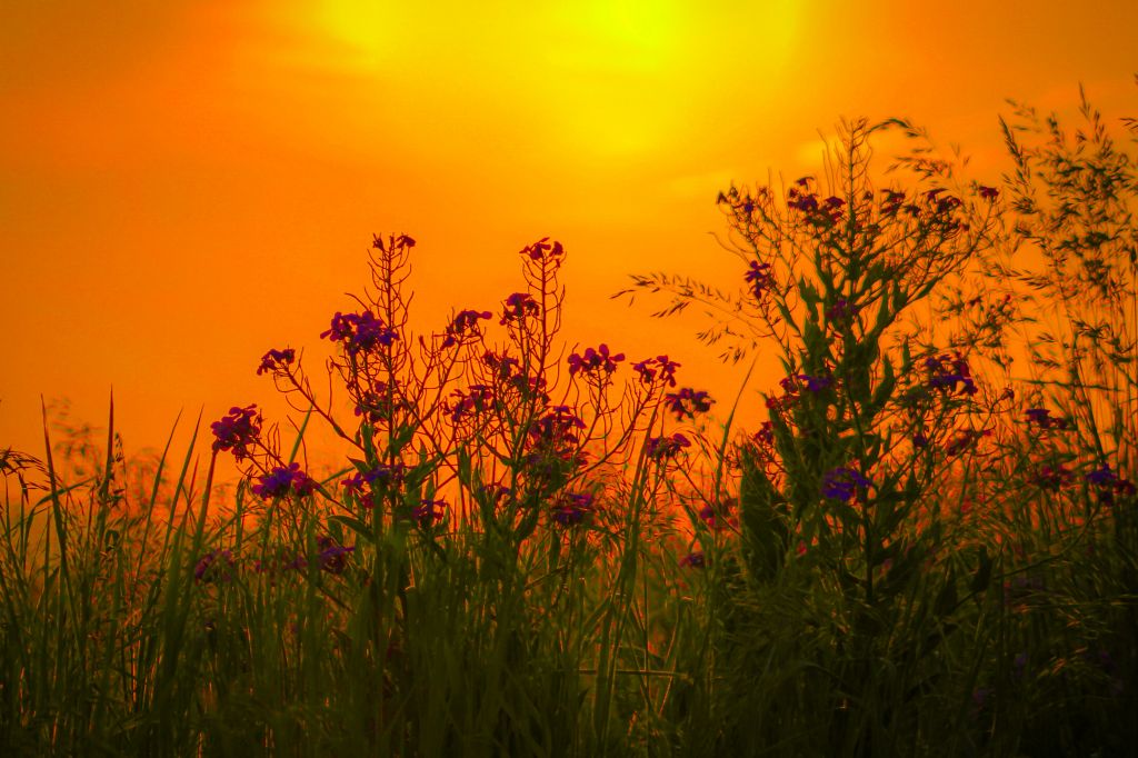 johnny-kaufman-mFmz4HoTK6c-unsplash - Suzanne Kane get used to anything
