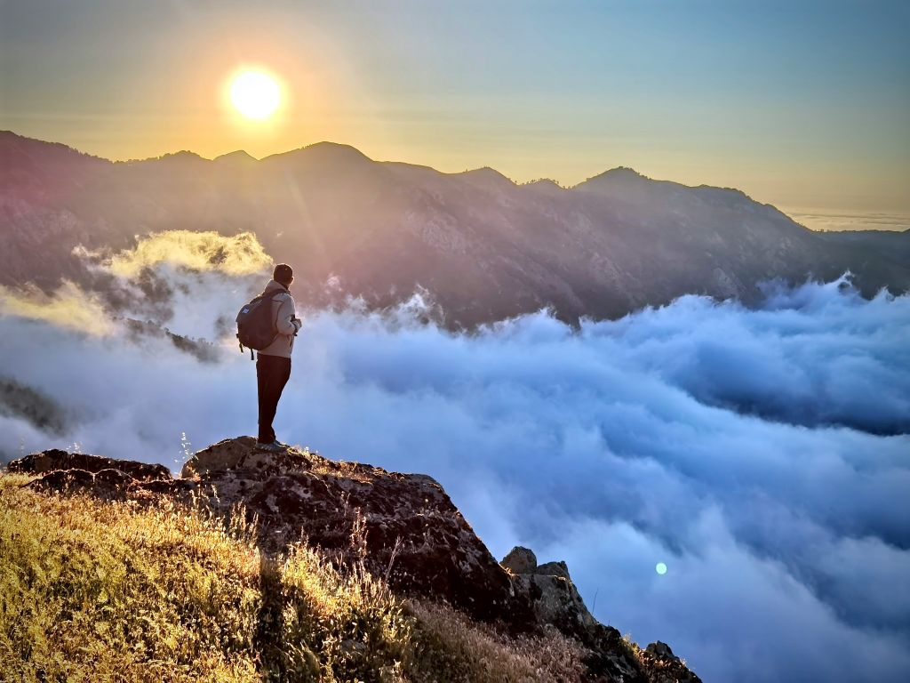 ramzi-belaidi-uSnYoNl3cK8-unsplash - Suzanne Kane get used to anything