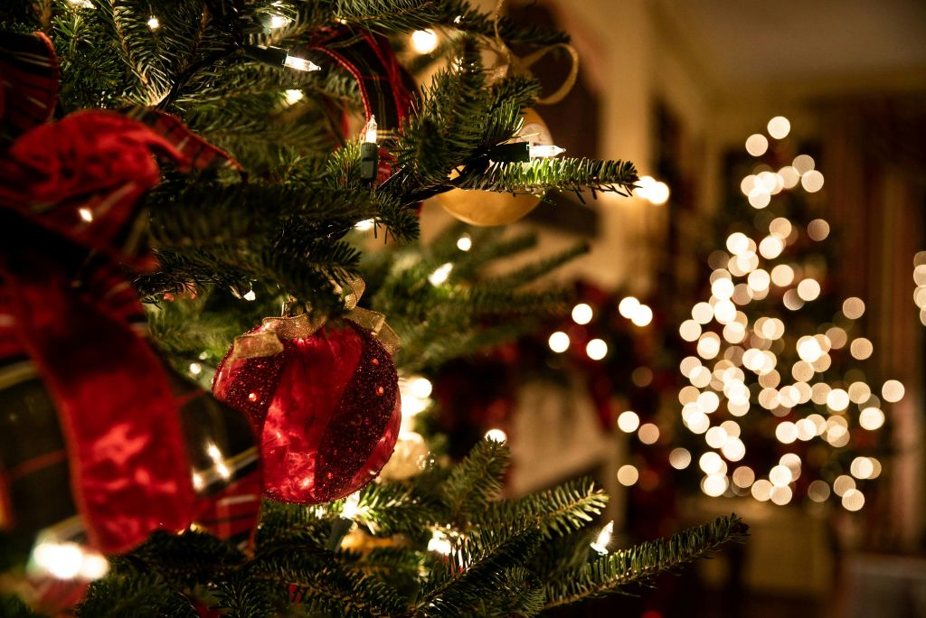 tessa-rampersad-5toRIWF2GUY-unsplash - Suzanne Kane the joy of Christmas