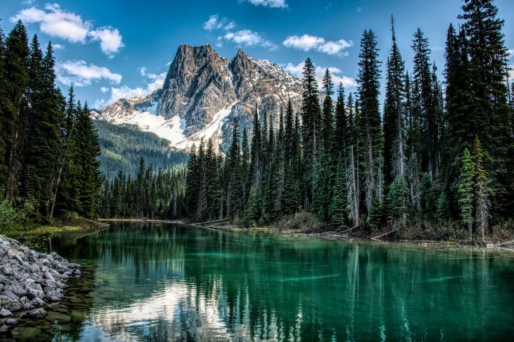 trevor-mckinnon-ALTWTTtYz5Y-unsplash - Suzanne Kane power to be