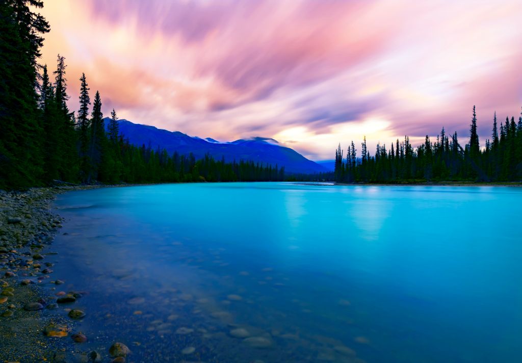 joshua-woroniecki-UNSs8TXxQ1c-unsplash - Suzanne Kane you want to achieve