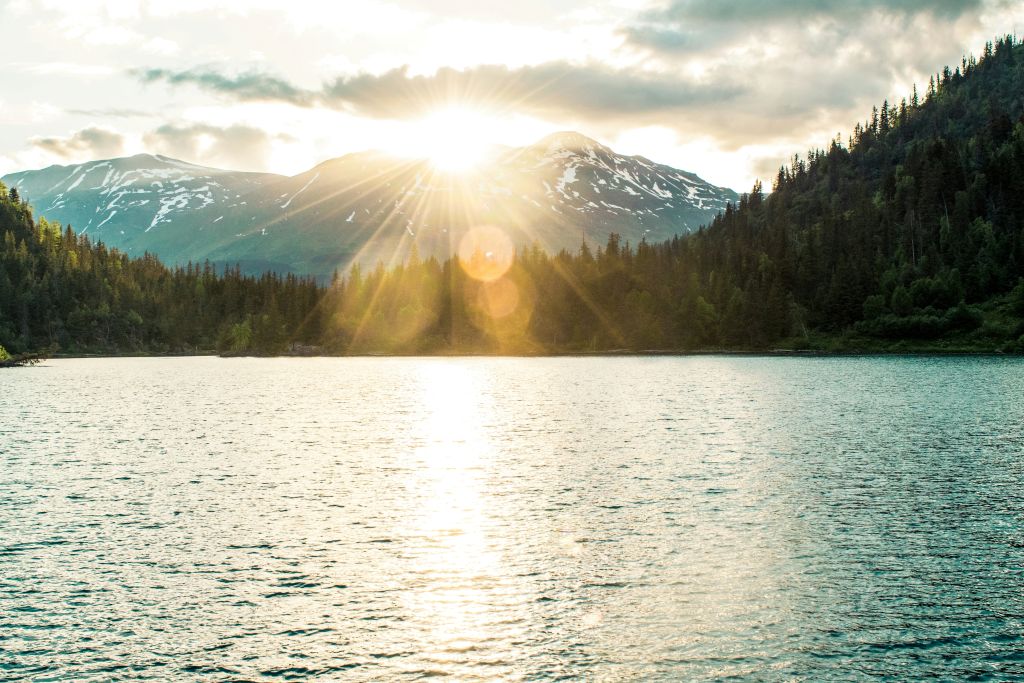 mckayla-crump-AjmBvSj_2IE-unsplash - Suzanne Kane be who you are