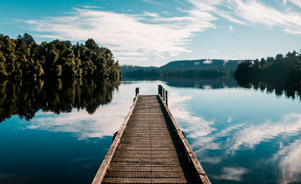nik-shuliahin-_TSHXXo52hA-unsplash - Suzanne Kane cope with work stress