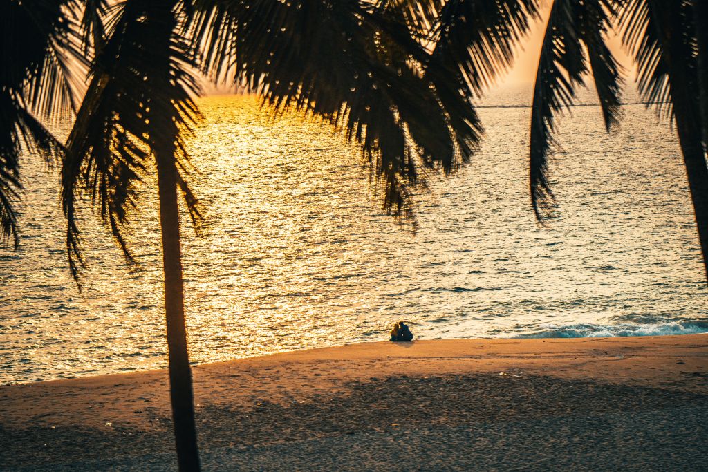 raimond-klavins-p5Ul-aHhIvs-unsplash - Suzanne Kane be who you are