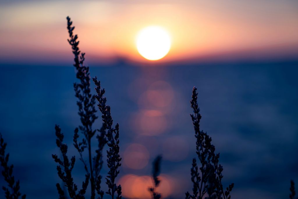 rebekah-dummer-nVlF5eZHeRI-unsplash - Suzanne Kane make confident decisions