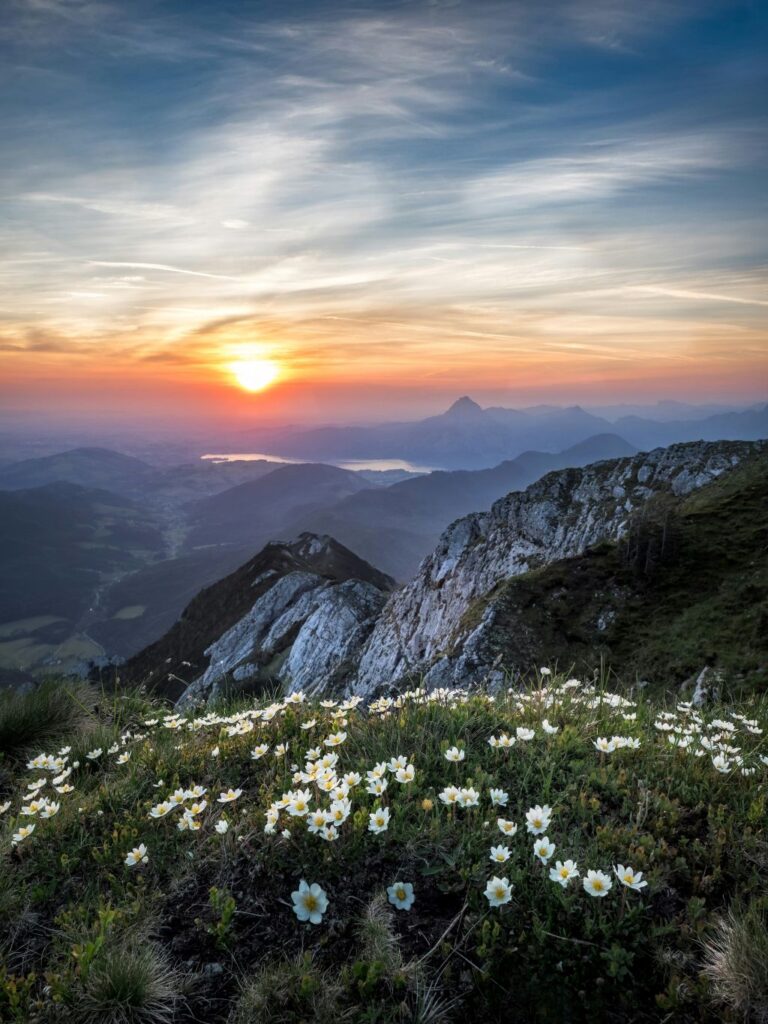 simon-UqCnDyc_3vA-unsplash - Suzanne Kane you want to achieve