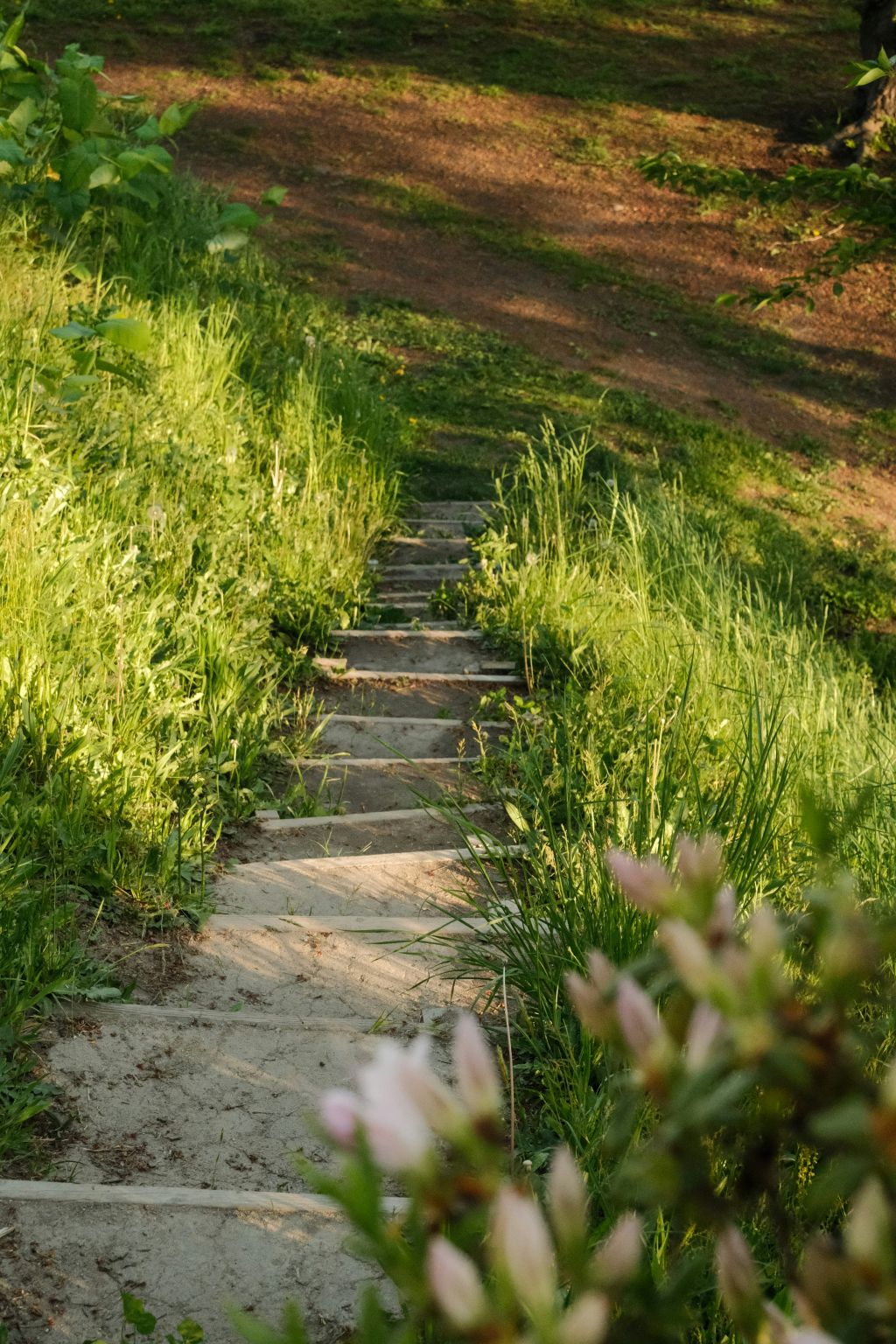ciya-j06AFtGzV0I-unsplash - Suzanne Kane your best next move