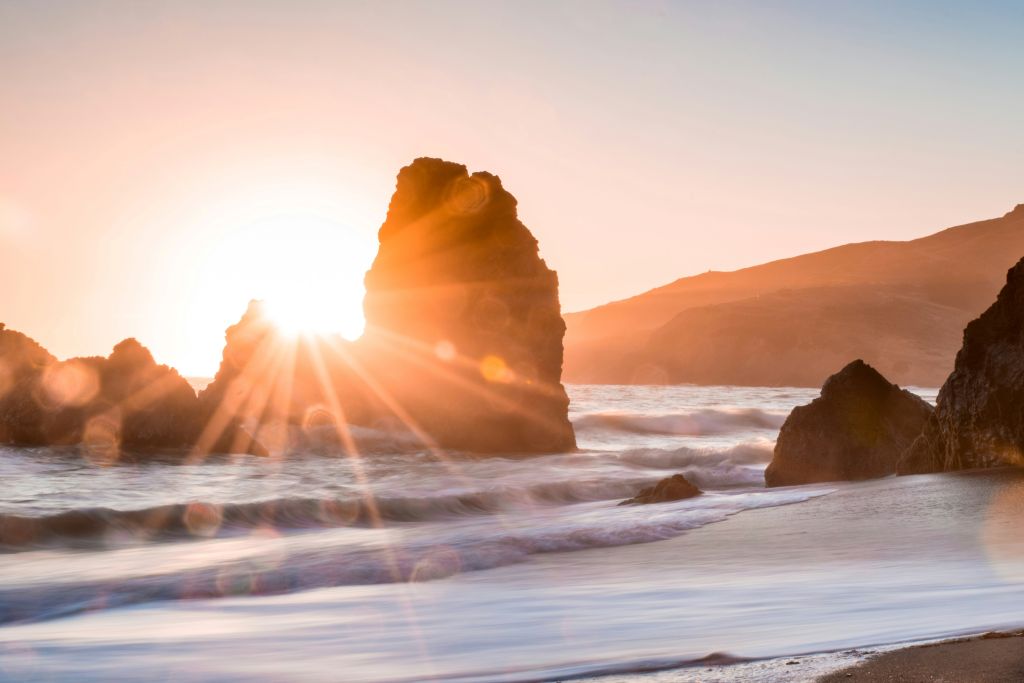 jessica-ruscello-lUtPqjz5D5k-unsplash - Suzanne Kane your next best move