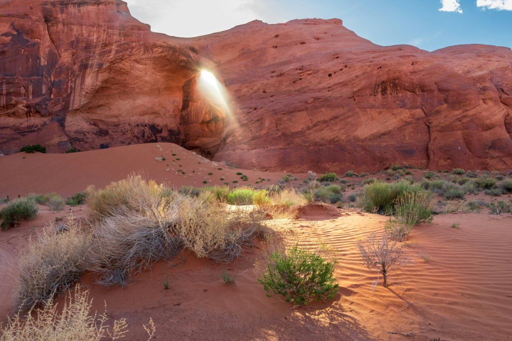 joseph-corl-acAyOgs8o0w-unsplash - Suzanne Kane your best next move