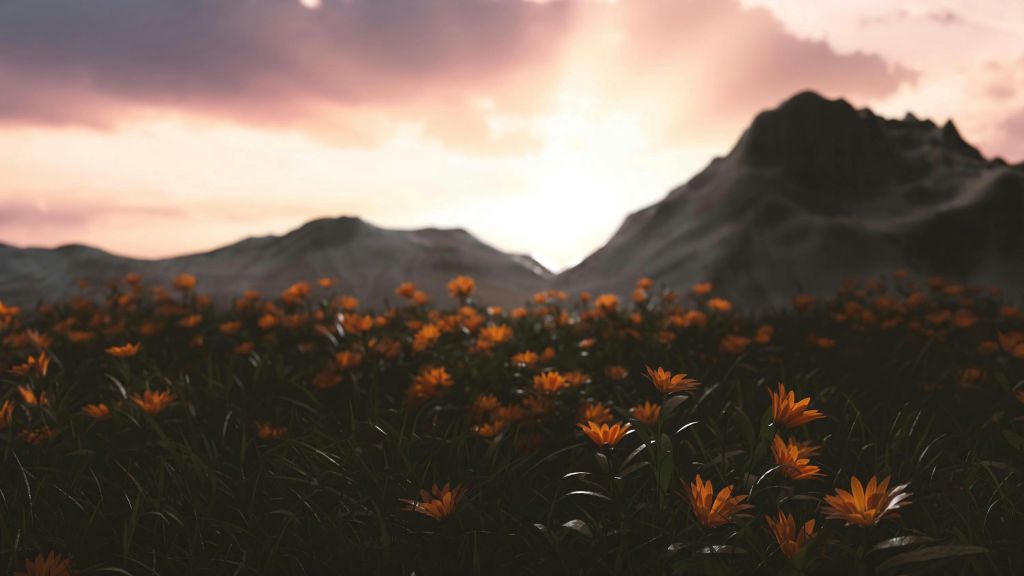 micha-frank-mT21yYzjNtI-unsplash - Suzanne Kane generate hope