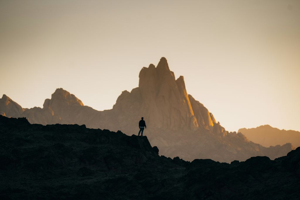 neom-gOqBe7ropxM-unsplash - Suzanne Kane your best next move