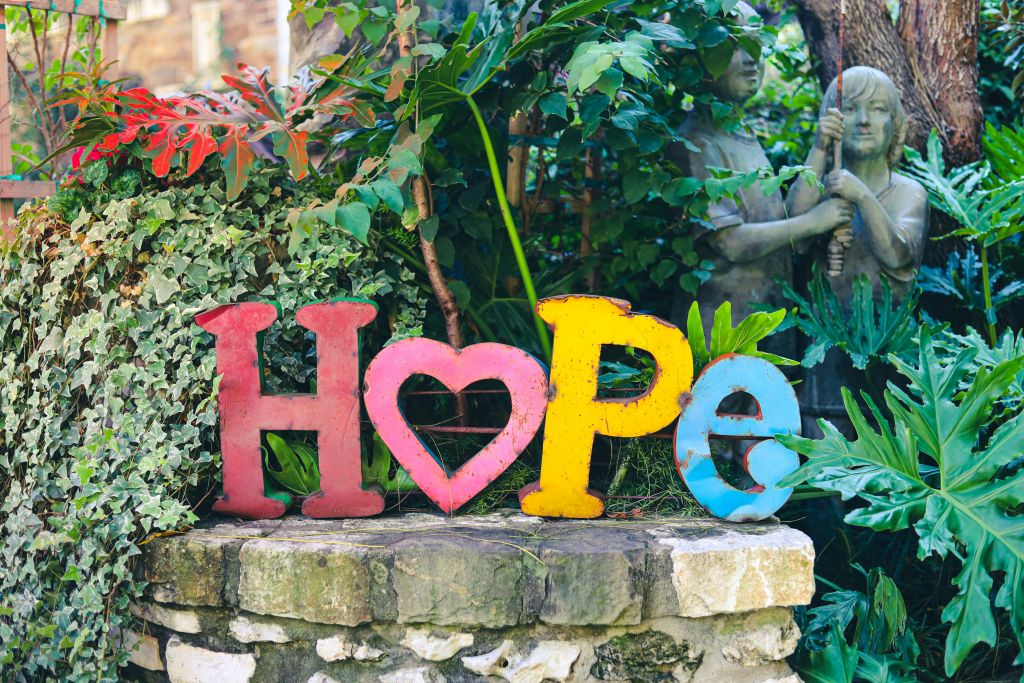 carl-hunley-jr-kZ_GzLAy4WM-unsplash - Suzanne Kane be more hopeful