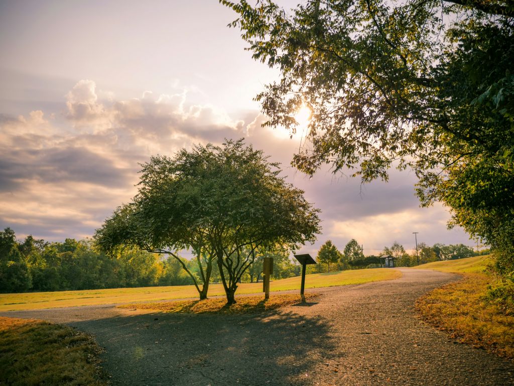 chad-stembridge-M4enQTU3LoQ-unsplash - Suzanne Kane best life values