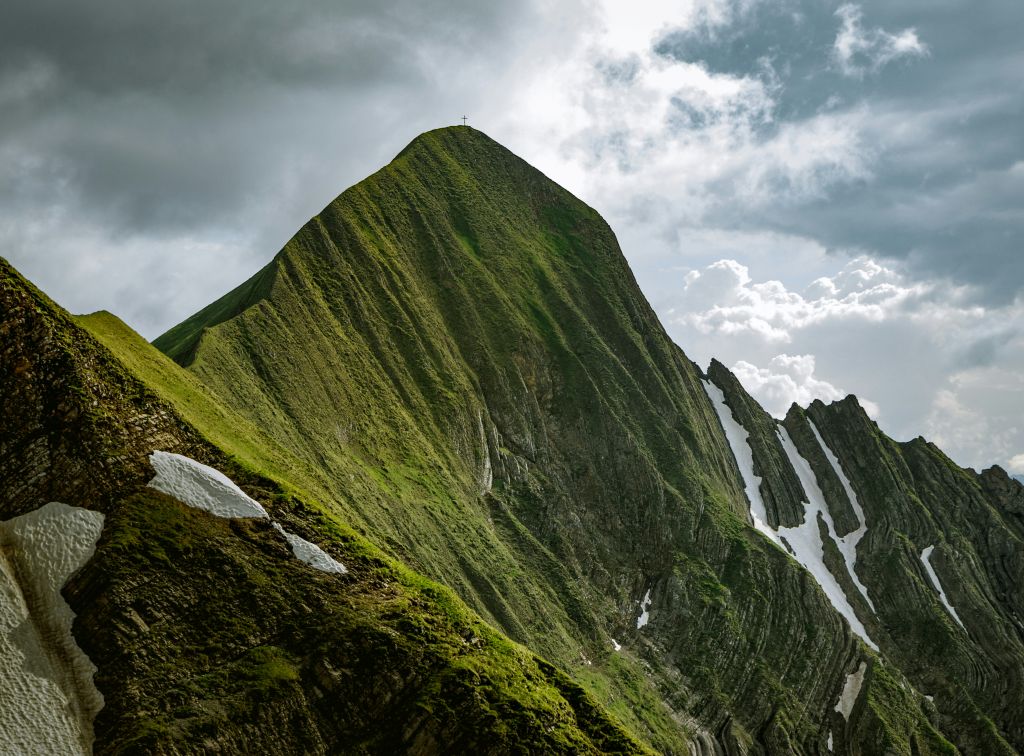 martin-adams-uRtCd9R1tXI-unsplash - Suzanne Kane your inner courage
