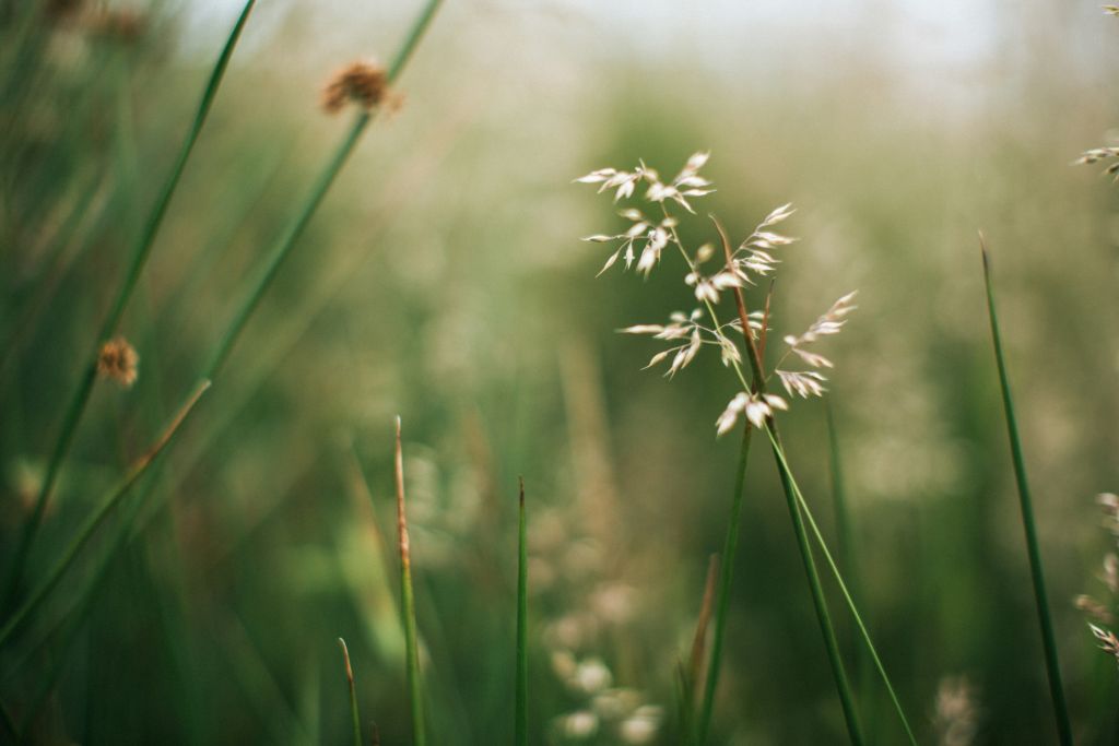 janesca-CgwXHfrjips-unsplash - Suzanne Kane calm your thoughts