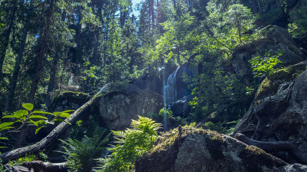 juho-luomala-If_184TgFyw-unsplash - Suzanne Kane calm your thoughts